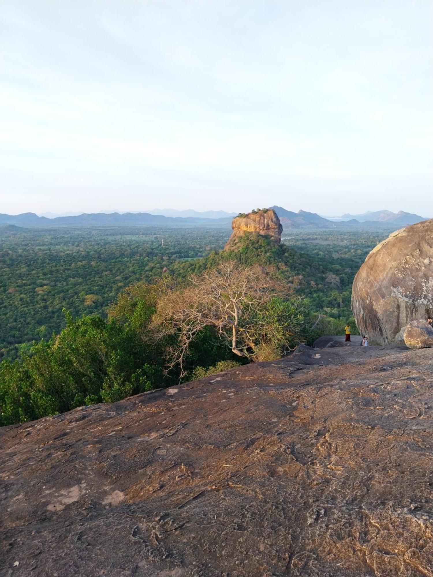 Near The Canal Homstay Sigiriya Exterior foto