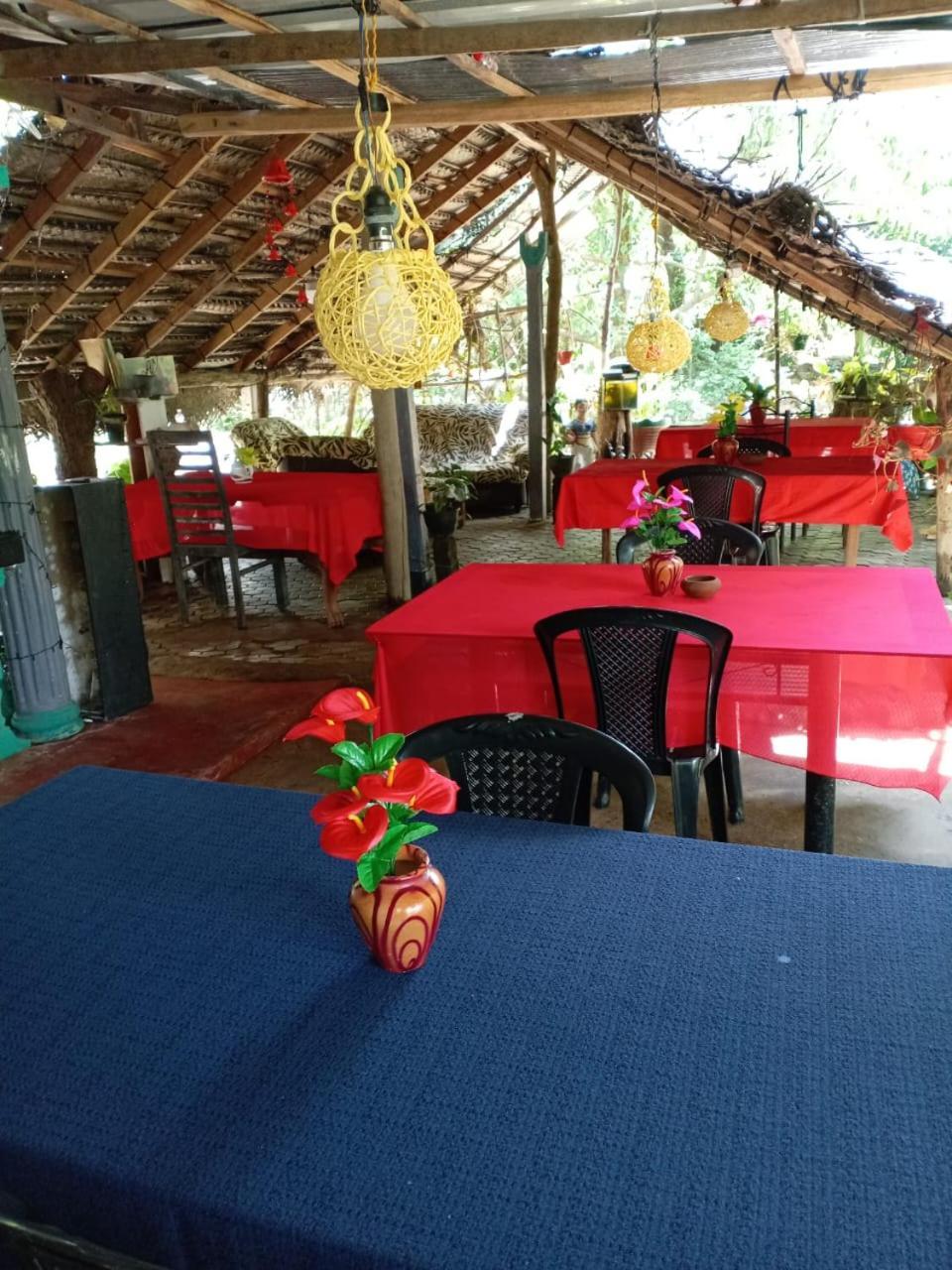 Near The Canal Homstay Sigiriya Exterior foto